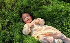 SP的标准惩罚是什么